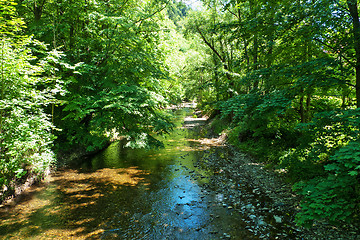 Image showing Creek