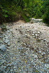 Image showing Dry River Bed