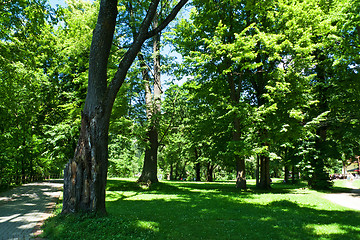 Image showing Park