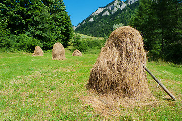 Image showing Hay stacks