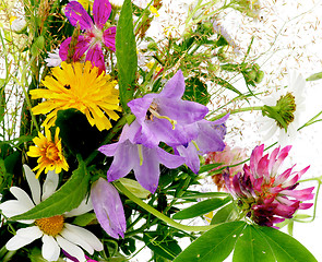 Image showing Wildflower Bouquet