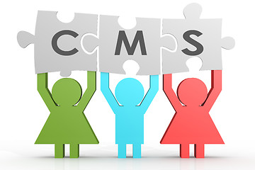 Image showing CMS - Content Management System puzzle in a line