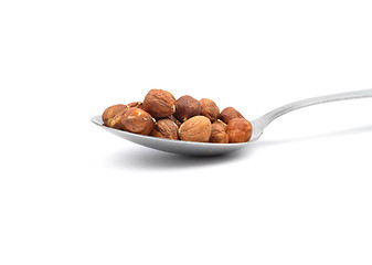 Image showing Hazelnuts  on spoon