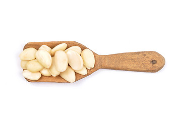 Image showing Blanched almonds on shovel