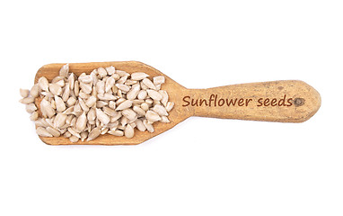 Image showing Sunflower seeds on shovel