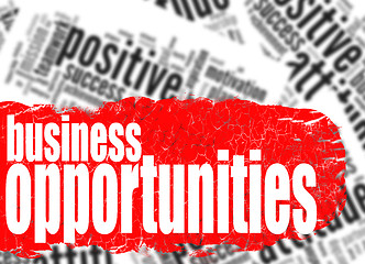 Image showing Word cloud business opportunities