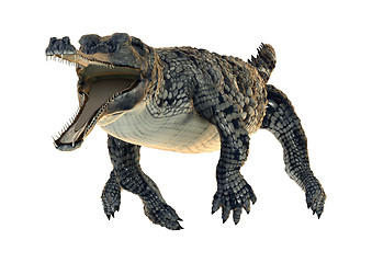 Image showing Gharial