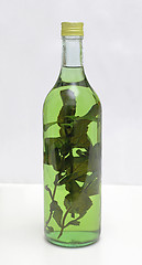 Image showing Medical Herb Liqueur