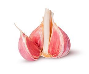 Image showing Young fresh garlic
