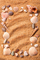 Image showing frame from various shells on sand