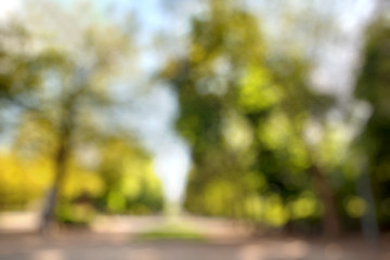 Image showing Summer city park blurred background