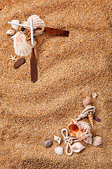 Image showing frame from various shells on sand