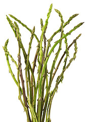 Image showing Asparagus Cutout