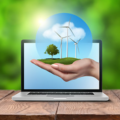 Image showing Wind turbines with tree in female hand in laptop