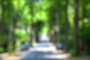 Image showing Summer city park blurred background