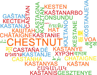 Image showing Chestnut multilanguage wordcloud background concept