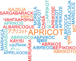 Image showing Apricot multilanguage wordcloud background concept
