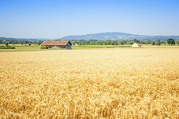 Image showing countryside