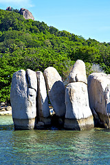 Image showing  blue lagoon  stone in thailand kho  of a  water   south china s