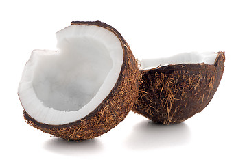 Image showing Coconut