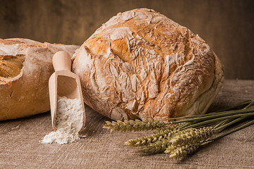 Image showing Rustic bread and wheat