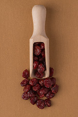 Image showing Wooden scoop with dried cranberries