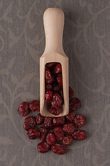 Image showing Wooden scoop with dried cranberries