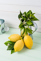 Image showing Limes and vintage metal retro watering cans