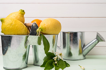 Image showing Limes on wooden table