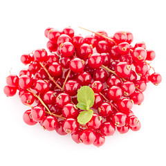 Image showing Red Currants