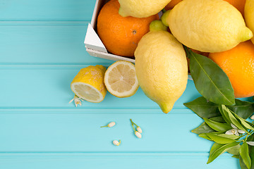 Image showing Citrus fresh fruits