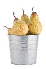 Image showing Ripe pears on metal buket