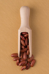 Image showing Wooden scoop with red beans