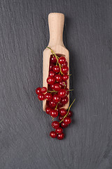 Image showing Currants in a wooden spoon