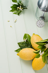 Image showing Limes and vintage metal retro watering cans