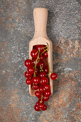 Image showing Currants in a wooden spoon