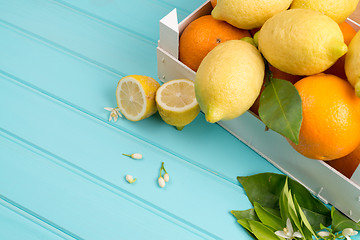 Image showing Citrus fresh fruits