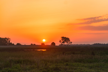 Image showing Sunset over the meadow