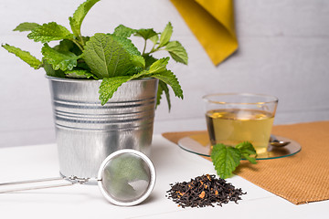 Image showing Herbal tea with melissa in a glass cup