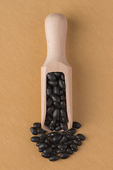 Image showing Wooden scoop with black beans