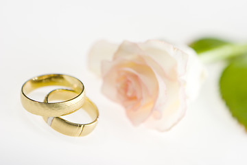 Image showing Wedding bands with rose on a white background