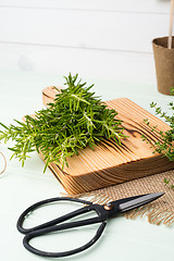 Image showing Rosemary and thyme