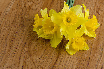 Image showing Jonquil flowers