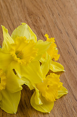 Image showing Jonquil flowers