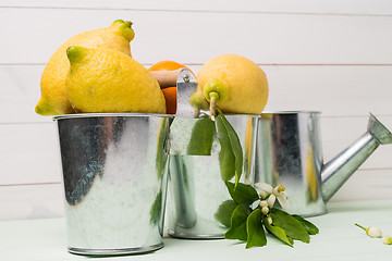 Image showing Limes and vintage metal retro watering cans