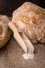 Image showing Rustic bread and wheat