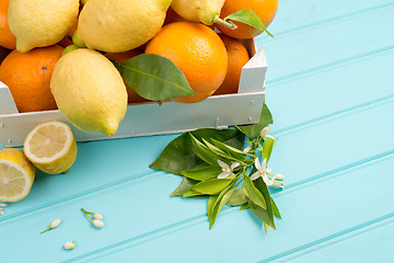 Image showing Citrus fresh fruits