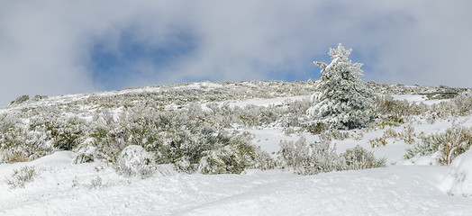 Image showing Landscape of Serra da Estrela