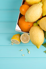 Image showing Citrus fresh fruits