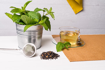 Image showing Herbal tea with melissa in a glass cup